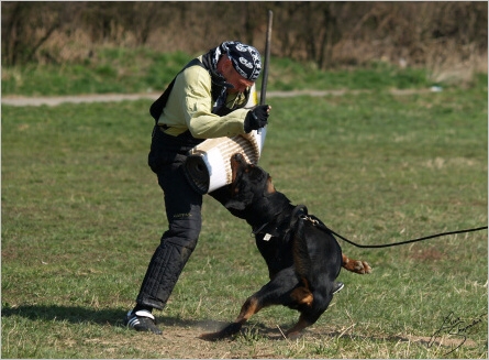 Training in Prague - 2. 4. 2008